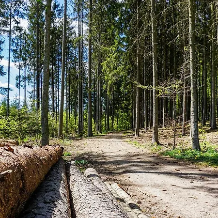 11 In Kirchheim Kirchheim (Hessen)